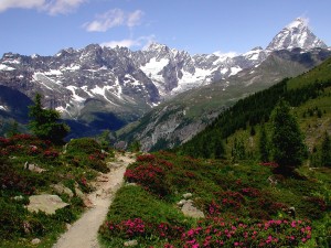 il Monte Cervino